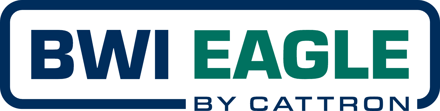 Blue and green BWI Eagle logo