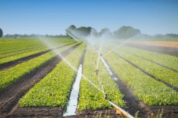 agriculture-bwi-application-600×400-1.jpg Water sprinklers in an agriculture field